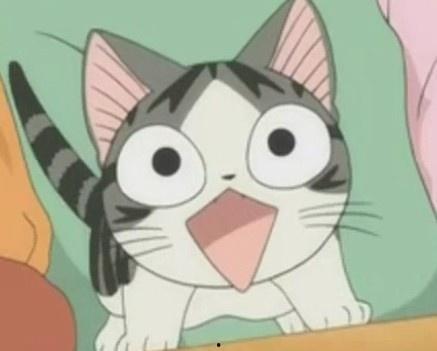 甜甜私房猫在线视频,温馨治愈的日常点滴